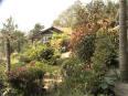 The Orchid Retreat, Kalimpong - Cottage