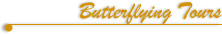 Butterfly / Butterflying Tours in North East India & Himalaya